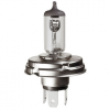 Lampada Halogena H5 100w - Certa - 1